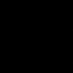 Meet your Posher, Jennie